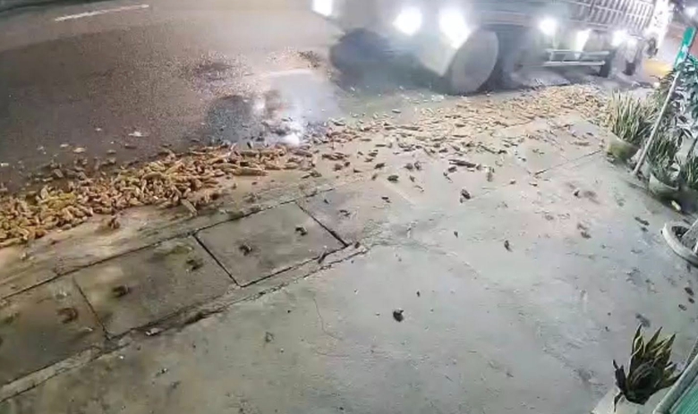 Truy tìm xe tải làm rơi vãi 3 tấn củ mì trên QL1 khiến nhiều người té ngã- Ảnh 1. Truy tìm xe tải làm rơi vãi 3 tấn củ mì trên QL1 khiến nhiều người té ngã- Ảnh 1.