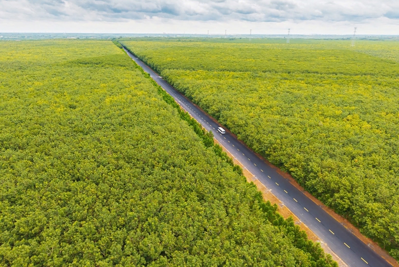Gỡ r&agrave;o cản, nối th&ocirc;ng đường Hồ Ch&iacute; Minh- Ảnh 1.