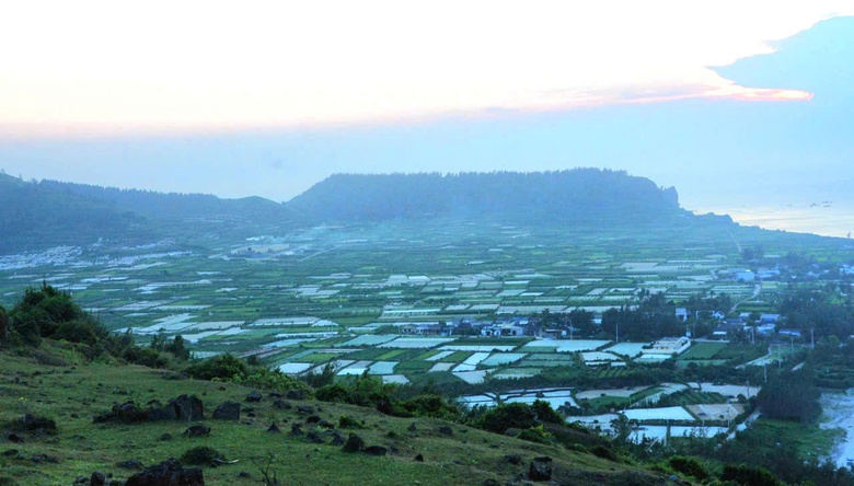 Quảng Ng&atilde;i cho ph&eacute;p chuyển hơn 2,8ha đất trồng tỏi tr&ecirc;n đảo L&yacute; Sơn l&agrave;m du lịch- Ảnh 1.