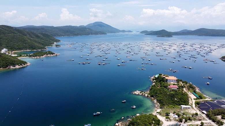 Nha Trang - vi&ecirc;n ngọc xanh kh&aacute;c biệt tr&ecirc;n bản đồ du lịch Việt Nam- Ảnh 3.