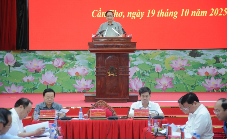 Thủ tướng: Đồng bằng s&ocirc;ng Cửu Long cần ph&aacute;t triển hạ tầng v&agrave; nguồn nh&acirc;n lực- Ảnh 1.