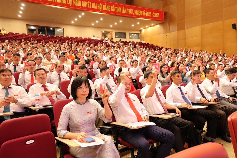 Nhiều hoạt động diễn ra trước khai mạc Đại hội Đảng bộ tỉnh Gia Lai- Ảnh 3.