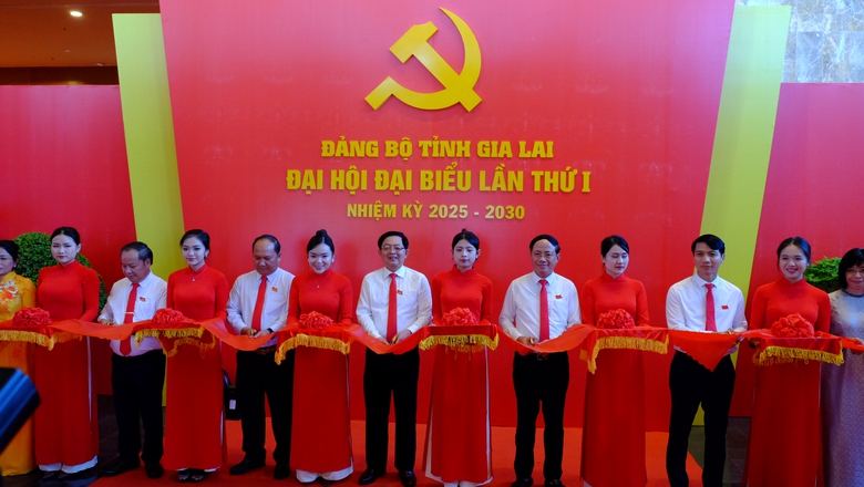 Nhiều hoạt động diễn ra trước khai mạc Đại hội Đảng bộ tỉnh Gia Lai- Ảnh 6.