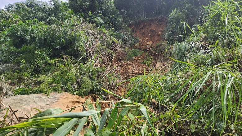 &ldquo;B&atilde;o chồng b&atilde;o, lũ chồng lũ&rdquo;, Nghệ An cần hỗ trợ 132 tỷ đồng để đảm bảo giao th&ocirc;ng- Ảnh 10.