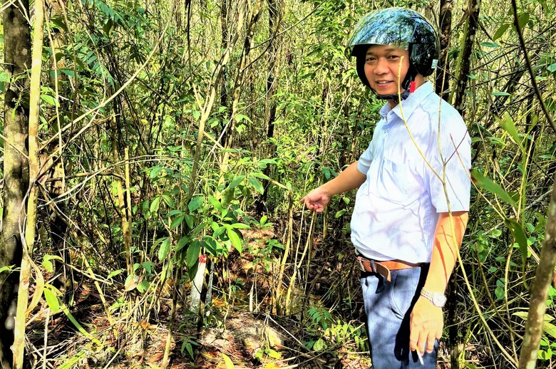 Huế: Ho&agrave;n th&agrave;nh cắm mốc chỉ giới tuyến đường sắt tốc độ cao Bắc - Nam- Ảnh 2.