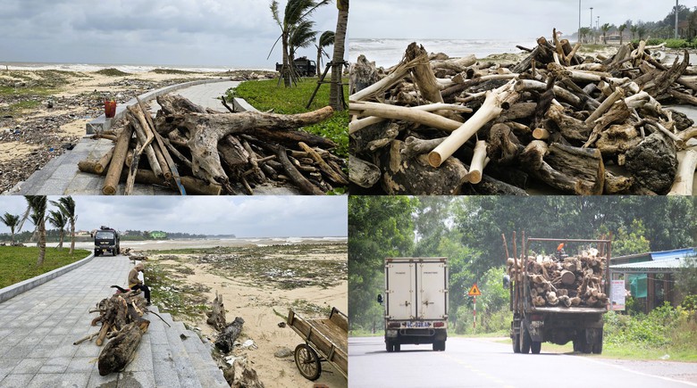 Quảng Trị: Tàu thuyền vào nơi trú tránh bão, người dân vẫn tranh thủ mót “lộc” ven bờ- Ảnh 13. Quảng Trị: Tàu thuyền vào nơi trú tránh bão, người dân vẫn tranh thủ mót “lộc” ven bờ- Ảnh 13.