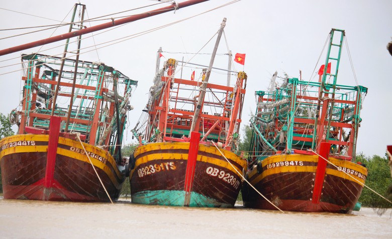 Quảng Trị: Tàu thuyền vào nơi trú tránh bão, người dân vẫn tranh thủ mót “lộc” ven bờ- Ảnh 3. Quảng Trị: Tàu thuyền vào nơi trú tránh bão, người dân vẫn tranh thủ mót “lộc” ven bờ- Ảnh 3.