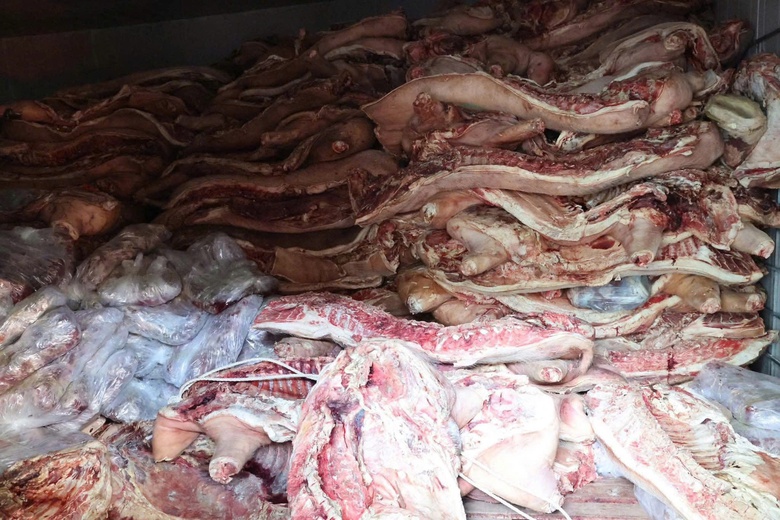 Ph&uacute; Thọ: Ngăn chặn h&agrave;ng chục tấn thịt lợn nhiễm bệnh tuồn ra thị trường- Ảnh 3.