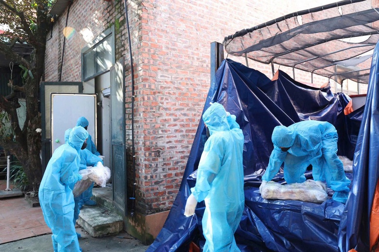 Ph&uacute; Thọ: Ngăn chặn h&agrave;ng chục tấn thịt lợn nhiễm bệnh tuồn ra thị trường- Ảnh 4.