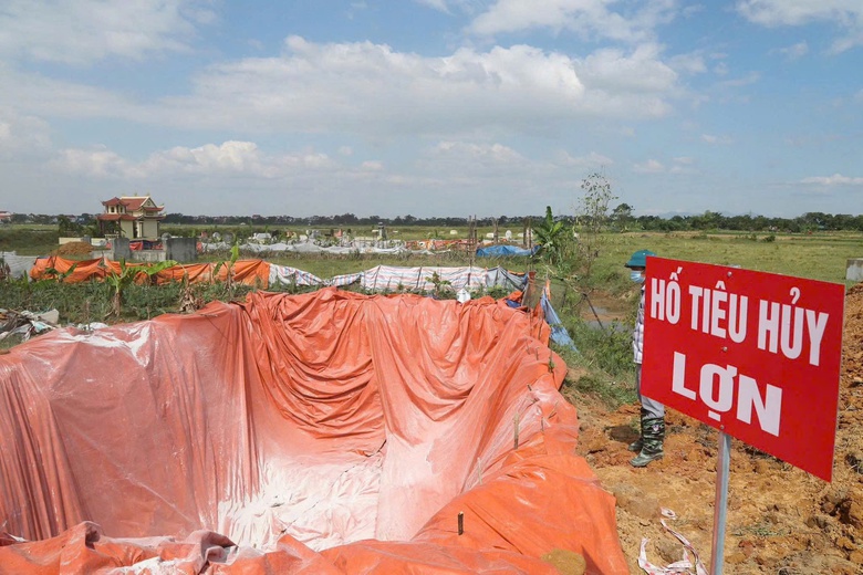 Ph&uacute; Thọ: Ngăn chặn h&agrave;ng chục tấn thịt lợn nhiễm bệnh tuồn ra thị trường- Ảnh 5.