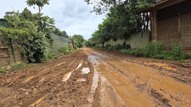 Đắk Lắk: Nghi vấn khai th&aacute;c đất tr&aacute;i ph&eacute;p tr&ecirc;n tuyến đường Ea Hồ - Tam Giang đang thi c&ocirc;ng- Ảnh 3.