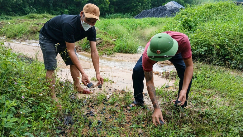 Đà Nẵng: Sẽ đối thoại giữa người dân và doanh nghiệp về phản ánh xả thải gây ô nhiễm- Ảnh 2. Đà Nẵng: Sẽ đối thoại giữa người dân và doanh nghiệp về phản ánh xả thải gây ô nhiễm- Ảnh 2.