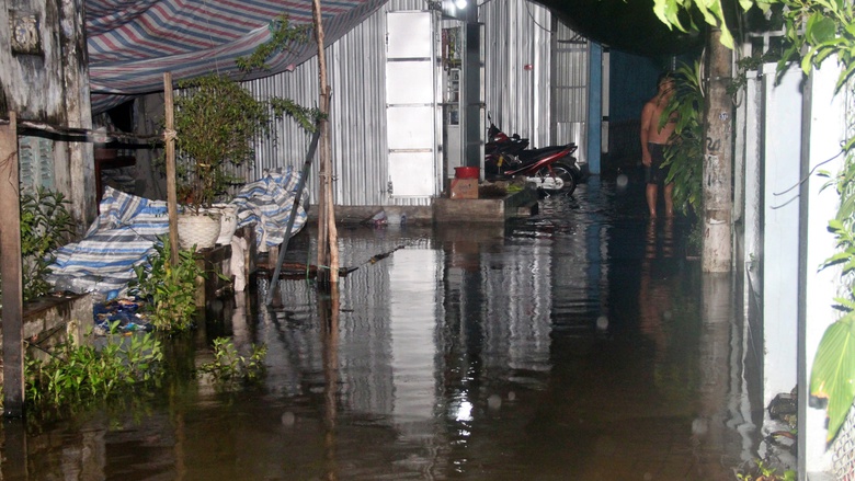 C&agrave; Mau: Triều cường d&acirc;ng cao, cuộc sống người d&acirc;n đảo lộn- Ảnh 2.