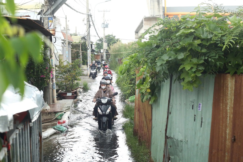 TP.HCM: Người d&acirc;n khổ sở b&igrave; b&otilde;m lội nước cạnh cống ngăn triều- Ảnh 10.