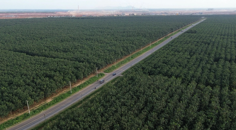 Hai dự &aacute;n c&ocirc;ng nghệ cận kề s&acirc;n bay của Đồng Nai đang được tăng tốc triển khai- Ảnh 1.