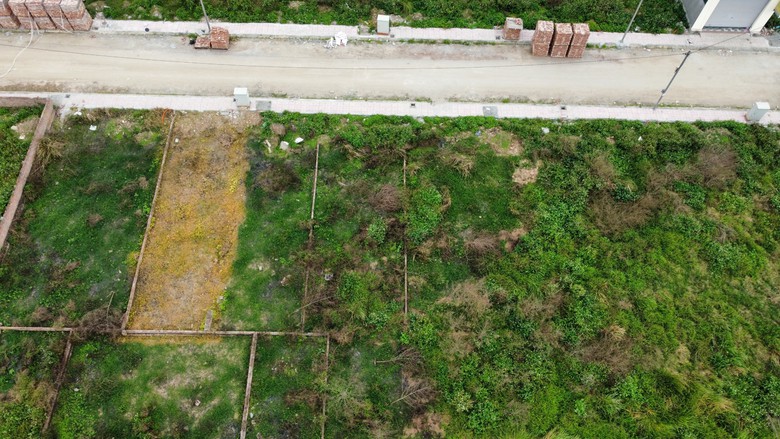 Nhiều khó khăn trong định danh đất đai- Ảnh 1. Nhiều khó khăn trong định danh đất đai- Ảnh 1.