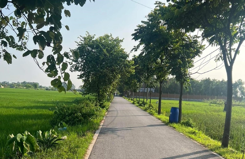 H&agrave; Nội: Y&ecirc;n L&atilde;ng đẩy mạnh đầu tư hạ tầng, ph&aacute;t triển n&ocirc;ng nghiệp sinh th&aacute;i bền vững- Ảnh 2.