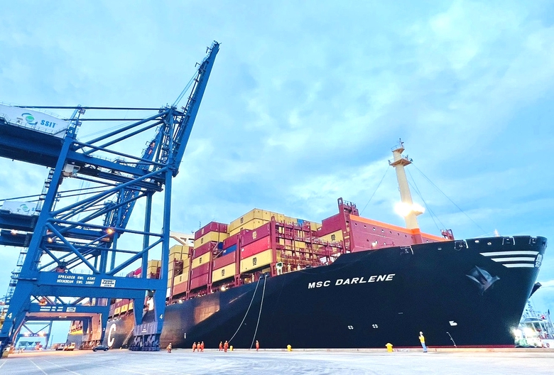 Sửa đổi c&aacute;ch x&aacute;c định tuổi t&agrave;u biển: Tạo thuận lợi cho doanh nghiệp- Ảnh 1.