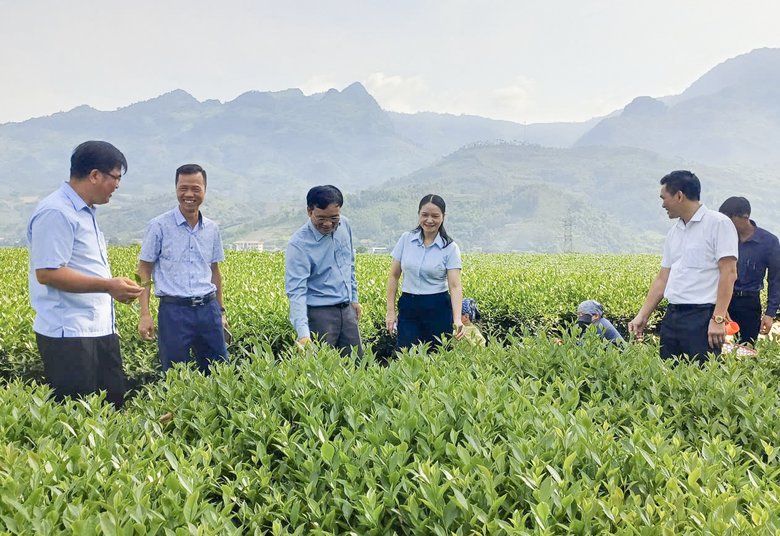 Hợp nhất ba Chương tr&igrave;nh Mục ti&ecirc;u quốc gia hướng tới x&acirc;y dựng n&ocirc;ng th&ocirc;n mới to&agrave;n diện- Ảnh 2.