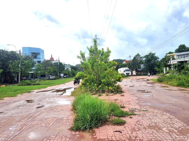 Gia Lai: Xà bần, rác thải bủa vây dự án môi trường, mất an toàn giao thông- Ảnh 5. Gia Lai: Xà bần, rác thải bủa vây dự án môi trường, mất an toàn giao thông- Ảnh 5.