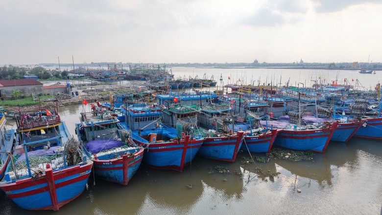 Ninh B&igrave;nh: Khai th&aacute;c hiệu quả hạ tầng cảng c&aacute;, ph&aacute;t triển kinh tế biển nhờ c&ocirc;ng nghệ- Ảnh 4.