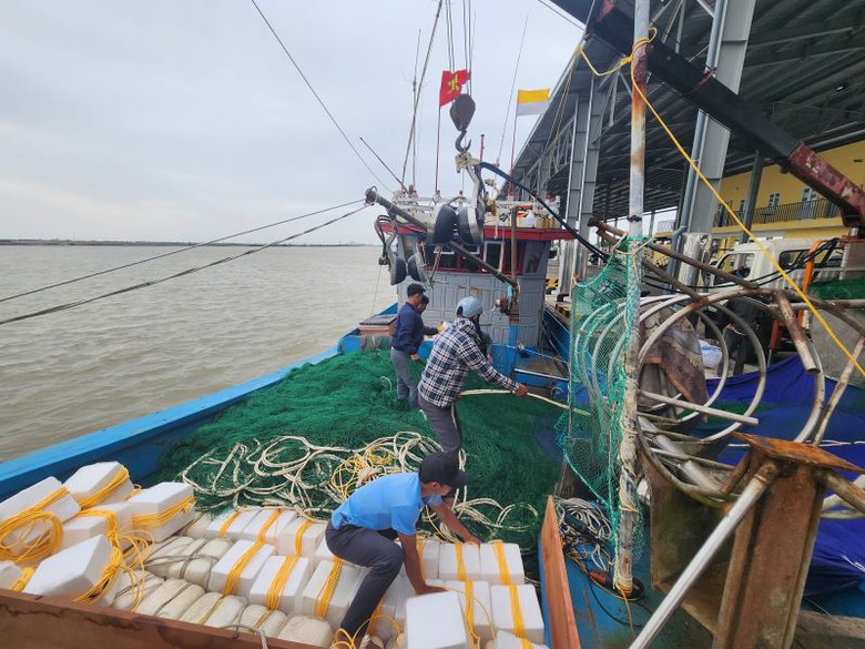 Ninh B&igrave;nh: Khai th&aacute;c hiệu quả hạ tầng cảng c&aacute;, ph&aacute;t triển kinh tế biển nhờ c&ocirc;ng nghệ- Ảnh 5.