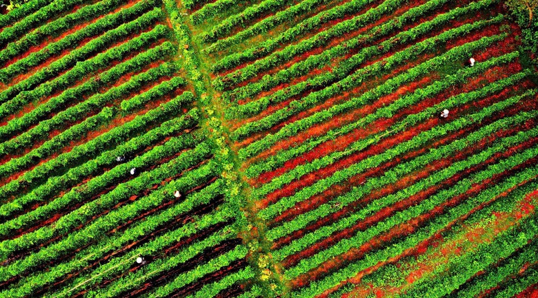 Bắc Ninh: S&acirc;m n&uacute;i D&agrave;nh hồi sinh v&ugrave;ng đất ngh&egrave;o Ph&uacute;c H&ograve;a- Ảnh 1.