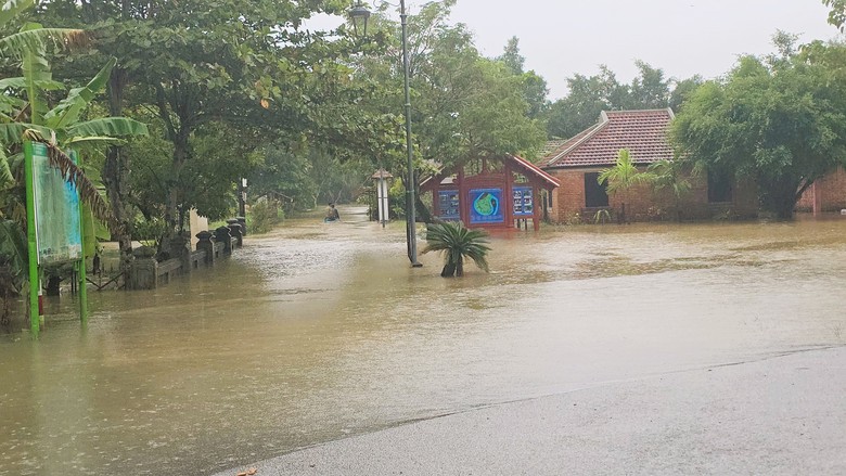 Nhiều tuyến đường x&atilde; ph&iacute;a Nam Quảng Trị ngập qu&aacute; bụng, người d&acirc;n di chuyển bằng thuyền- Ảnh 11.