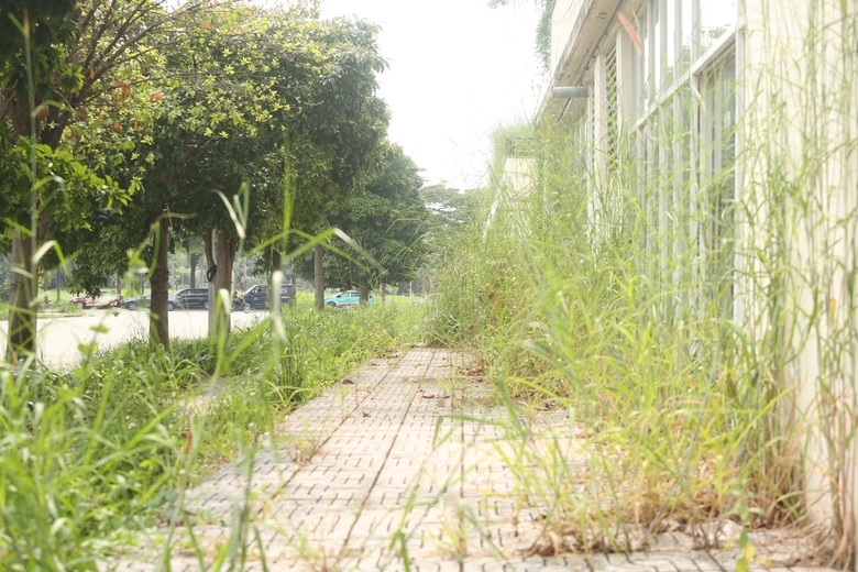 Hiện trạng 3.790 căn hộ t&aacute;i định cư Thủ Thi&ecirc;m trước lần đấu gi&aacute; thứ 5- Ảnh 9.