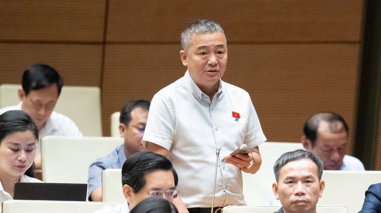 ĐBQH đề xuất hỗ trợ tài chính cho cộng đồng, doanh nghiệp trồng cây xanh ven đường- Ảnh 3. ĐBQH đề xuất hỗ trợ tài chính cho cộng đồng, doanh nghiệp trồng cây xanh ven đường- Ảnh 3.