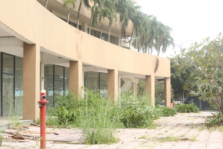 Hiện trạng 3.790 căn hộ t&aacute;i định cư Thủ Thi&ecirc;m trước lần đấu gi&aacute; thứ 5- Ảnh 7.