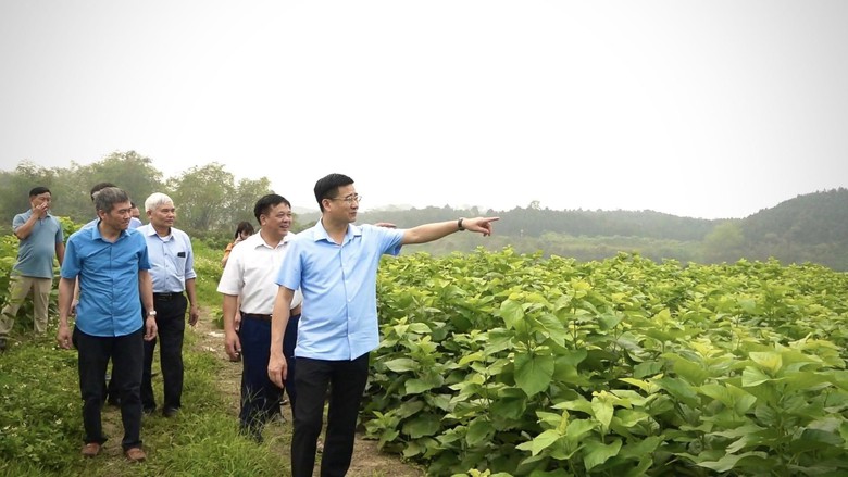 Lào Cai: Xây dựng xã Mậu A trở thành trung tâm kết nối vùng- Ảnh 3. Lào Cai: Xây dựng xã Mậu A trở thành trung tâm kết nối vùng- Ảnh 3.