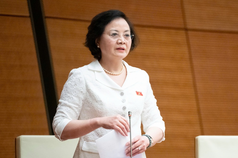 Ph&oacute; Thủ tướng Phạm Thị Thanh Tr&agrave; n&ecirc;u lộ tr&igrave;nh cải c&aacute;ch tiền lương- Ảnh 4.