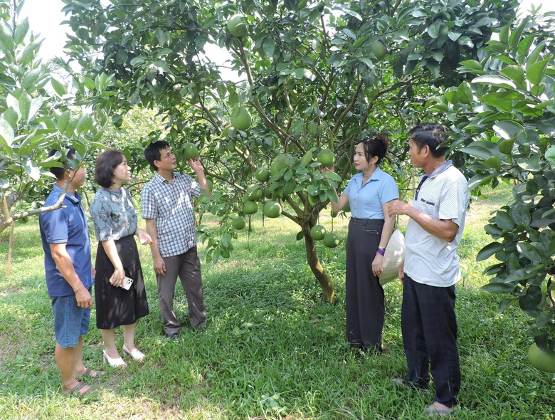 Quy Mông chuyển mình nhờ phát triển nông nghiệp xanh- Ảnh 2. Quy Mông chuyển mình nhờ phát triển nông nghiệp xanh- Ảnh 2.