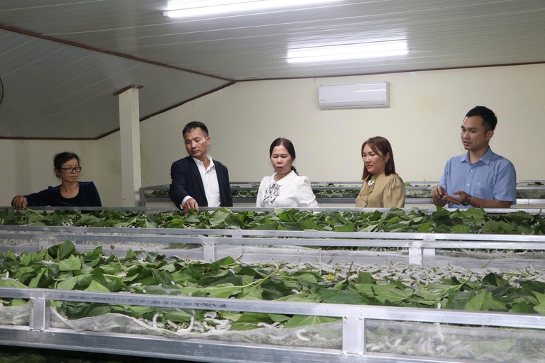 Quy Mông chuyển mình nhờ phát triển nông nghiệp xanh- Ảnh 3. Quy Mông chuyển mình nhờ phát triển nông nghiệp xanh- Ảnh 3.