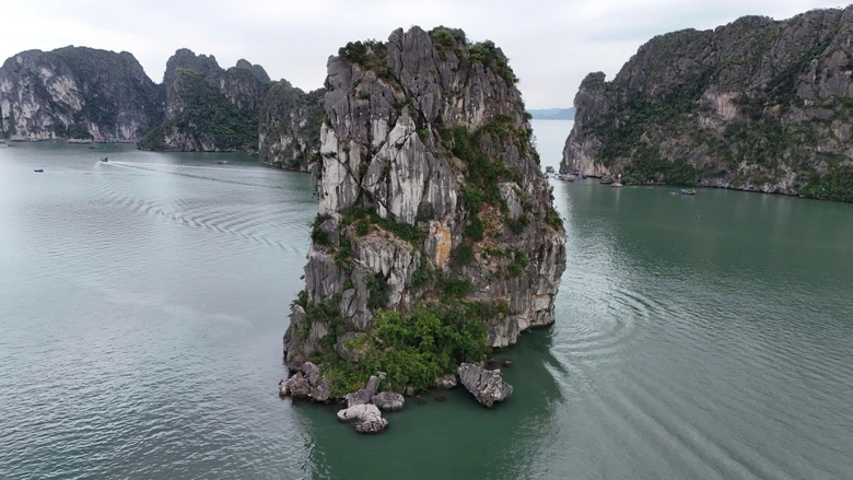 Th&aacute;o dỡ d&agrave;n đ&egrave;n nghệ thuật 140 tỷ đồng tr&ecirc;n vịnh Hạ Long: B&agrave;i học đầu tư cảnh quan- Ảnh 3.