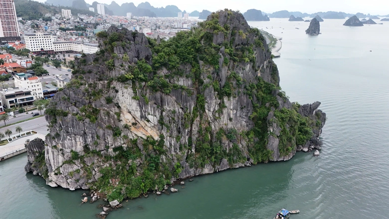 Th&aacute;o dỡ d&agrave;n đ&egrave;n nghệ thuật 140 tỷ đồng tr&ecirc;n vịnh Hạ Long: B&agrave;i học đầu tư cảnh quan- Ảnh 6.