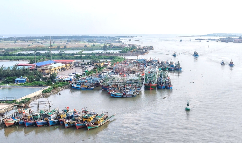 Ninh B&igrave;nh: Siết chặt quản l&yacute;, kh&ocirc;ng để t&agrave;u c&aacute; vi phạm khai th&aacute;c IUU- Ảnh 1.