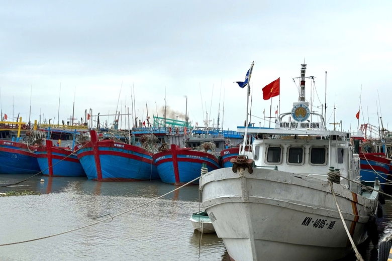 Ninh B&igrave;nh: Siết chặt quản l&yacute;, kh&ocirc;ng để t&agrave;u c&aacute; vi phạm khai th&aacute;c IUU- Ảnh 2.