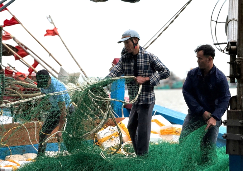 Ninh B&igrave;nh: Siết chặt quản l&yacute;, kh&ocirc;ng để t&agrave;u c&aacute; vi phạm khai th&aacute;c IUU- Ảnh 3.