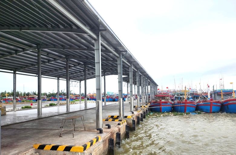 Ninh B&igrave;nh: Siết chặt quản l&yacute;, kh&ocirc;ng để t&agrave;u c&aacute; vi phạm khai th&aacute;c IUU- Ảnh 4.