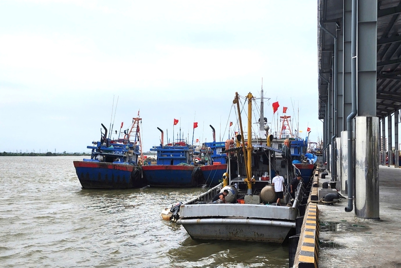 Ninh B&igrave;nh: Siết chặt quản l&yacute;, kh&ocirc;ng để t&agrave;u c&aacute; vi phạm khai th&aacute;c IUU- Ảnh 5.