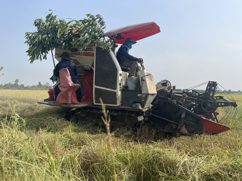 N&ocirc;ng nghiệp xanh, du lịch sinh th&aacute;i bền vững với trải nghiệm kh&aacute;c biệt ở B&agrave; Rịa - Vũng T&agrave;u- Ảnh 7.