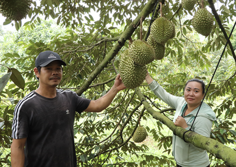 N&ocirc;ng nghiệp xanh, du lịch sinh th&aacute;i bền vững với trải nghiệm kh&aacute;c biệt ở B&agrave; Rịa - Vũng T&agrave;u- Ảnh 4.