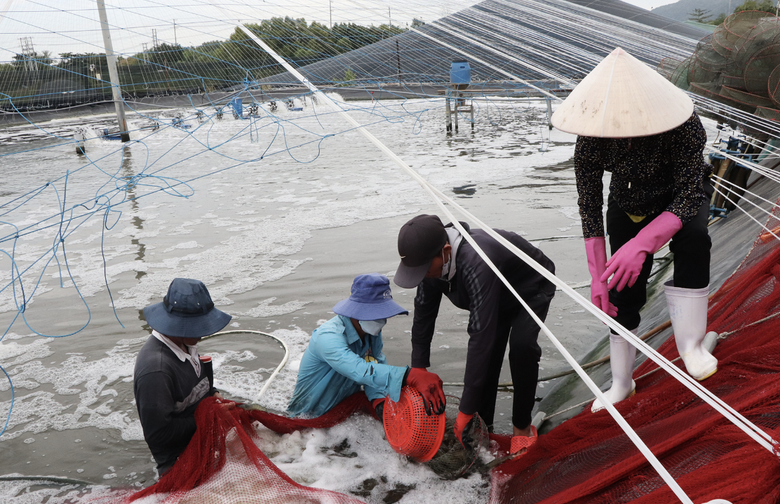 N&ocirc;ng nghiệp xanh, du lịch sinh th&aacute;i bền vững với trải nghiệm kh&aacute;c biệt ở B&agrave; Rịa - Vũng T&agrave;u- Ảnh 1.