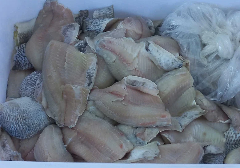 Hà Nội: Tạm dừng suất ăn bán trú của Công ty Đào Lượng cấp cho Trường Tiểu học Chu Minh- Ảnh 1. Hà Nội: Tạm dừng suất ăn bán trú của Công ty Đào Lượng cấp cho Trường Tiểu học Chu Minh- Ảnh 1.