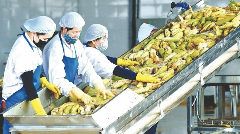 Bất chấp thị trường biến động, xuất khẩu n&ocirc;ng sản vẫn "phi nước đại"- Ảnh 1.