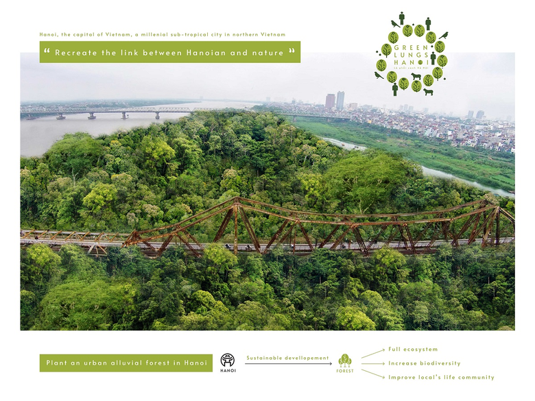 A bridge over a forest  AI-generated content may be incorrect.
