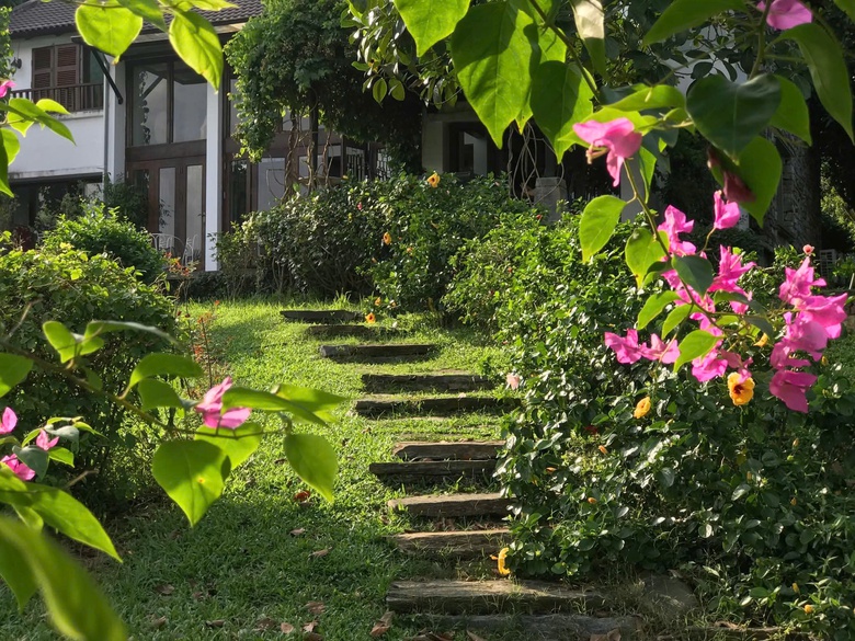 Từ đồi ch&egrave; đến Bản X&ocirc;i, Y&ecirc;n B&agrave;i hồi sinh trong h&agrave;nh tr&igrave;nh n&ocirc;ng th&ocirc;n mới- Ảnh 3.