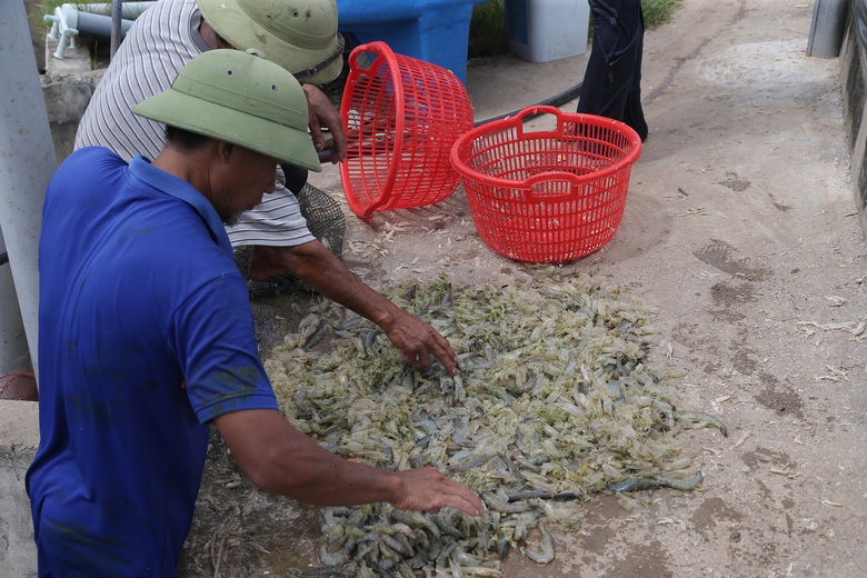 Người d&acirc;n ven biển Nghệ An mong g&oacute;i vay ưu đ&atilde;i để ổn định sản xuất sau b&atilde;o lũ- Ảnh 4.